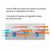 PerfectDry Hearing Aid Dryer PerfectDry Hearing Aid Dryer