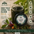 High yield Herbal Tea Elixir Max