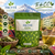Frutte Andean Tea 20 ct.