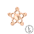 RG18KTLSTAR2