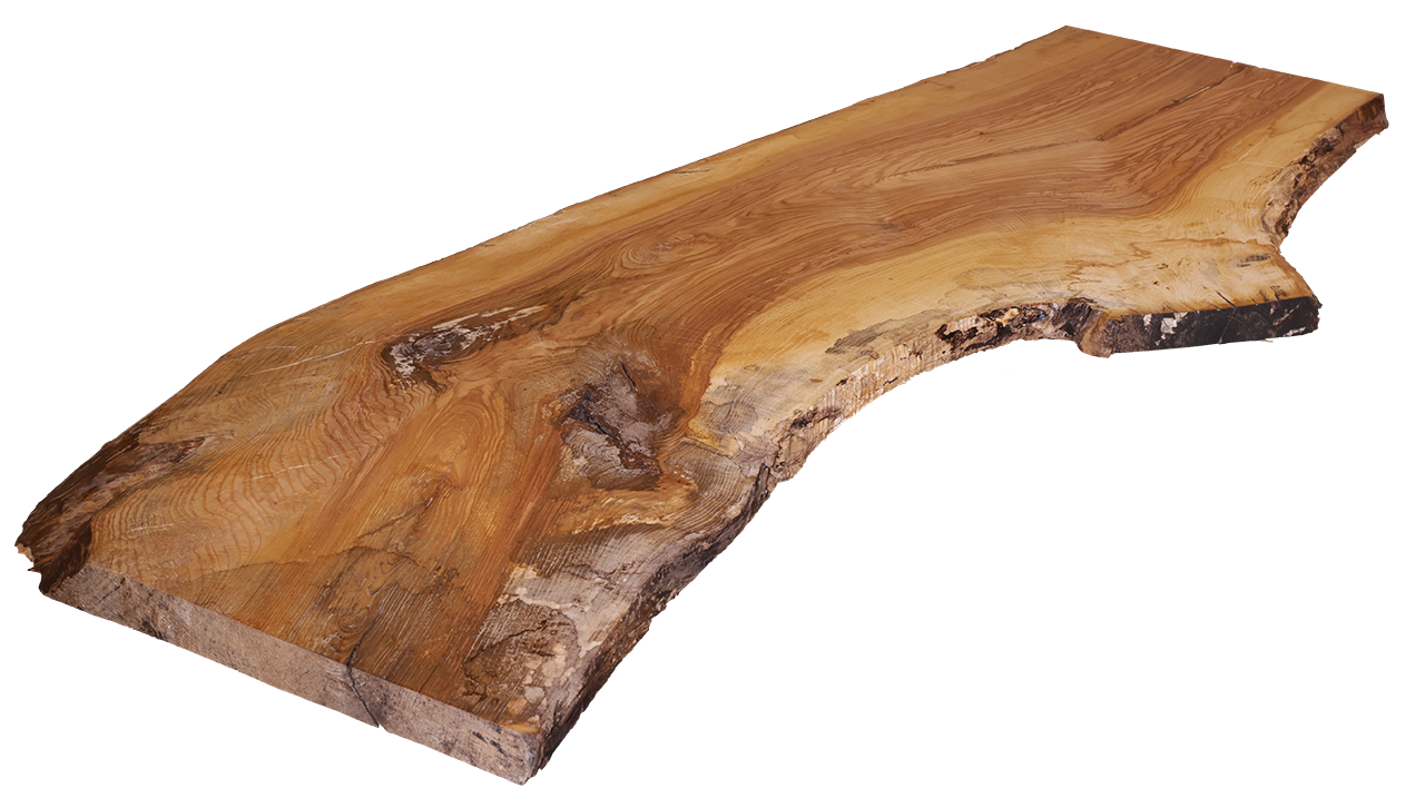 SPBINDINGS SLAB S US5-7/23-25cmクイックエントリー Ash Live Edge Slab #770