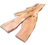 Maple Live Edge Slab #901  (1.875"-32.625"-145.1875")