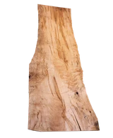 Maple Live Edge Slab #1026 (2"-26.5"-86")