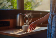 Incorporating Butcher Block Countertops into Tiny Homes