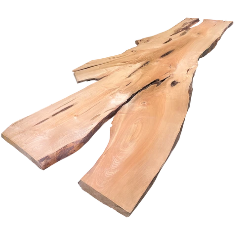 Maple Live Edge Slab #901  (1.875"-32.625"-145.1875")