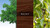 A three-panel display of American Walnut: the left showing a mature tree canopy, the center highlighting rich chocolate brown heartwood grain, and the right featuring a close-up of walnut leaves and fruit.
