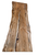 Maple Live Edge Slab #1014 (1.75"-26.75"-85.5")