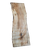 Maple Live Edge Slab #1023(1.625"-23"-84.5")