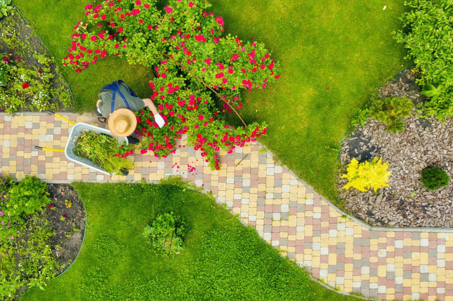 7 Ideas To Update Your Garden For Spring