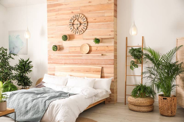 5 Ways to Make Your Home Green