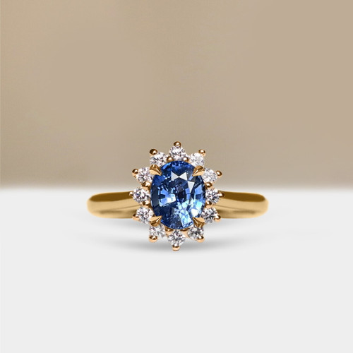 S832-ALEXANDRAR-YG-NVST3296.jpg