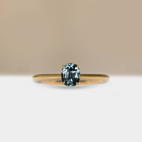 S826-CELINE-YG-NVST3591.jpg