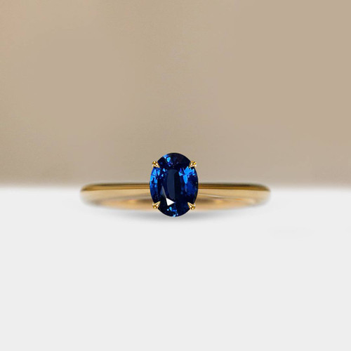 S826-CELINE-YG-NVST3548.jpg