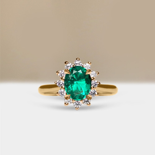 S832-ALEXANDRAL-YG-NVSTE3634.jpg