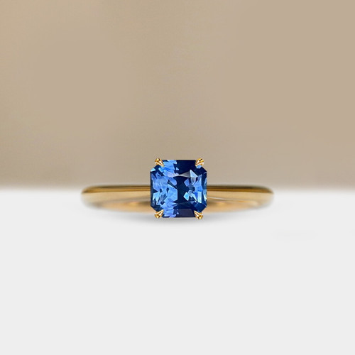 S826-CELINE-YG-NVST3722.jpg