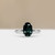 S822-ARIA-WG-NVST2946.jpg