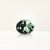 1.56 ct Oval Green Sapphire - Nolan and Vada 1.56 ct Oval Green Sapphire - Nolan and Vada