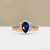 S818-IRIS-RG-NVSTL3507.jpg