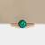 S826-CELINE-RG-NVSTE3644.jpg
