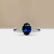 S806-ALICE-WG-NVSTL3700.jpg