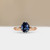 S822-ARIA-RG-NVSTL3715.jpg