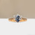 S818-IRIS-RG-NVSTL3711.jpg