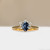 S818-IRIS-YG-NVSTL3712.jpg