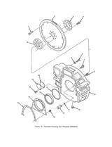 (2DR591) Flywheel Flex Plate