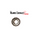 (705491) Bearing King Pin