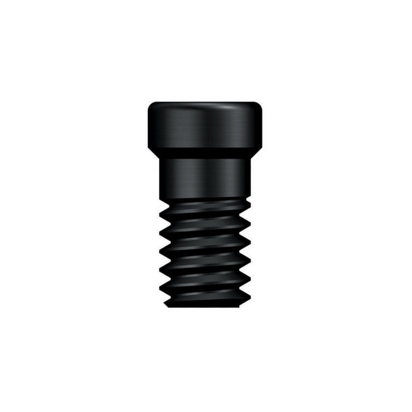 ET EbonyGold Abutment Screw