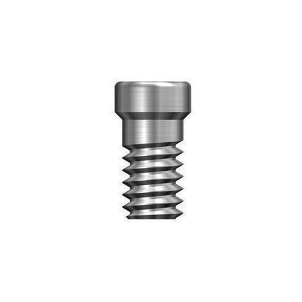 Esthetic-low Cylinder Screw