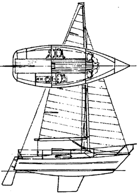 24' Fast Cruiser (GA & Lines only)
