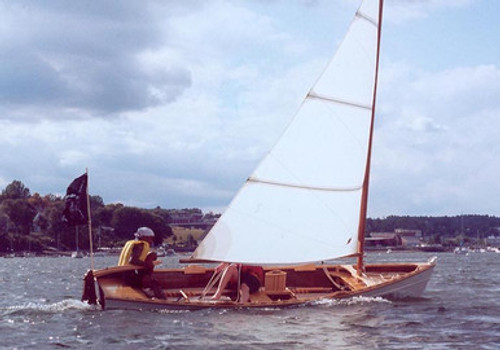 Laughing Gull Study Plans PDF