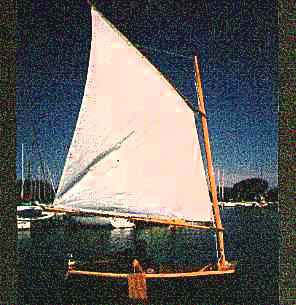 Moby Dink Printed Plans