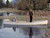 Quick Canoe 155 Plans PDF