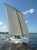 Periwinkle Plans PDF