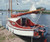 Ptarmigan 17' Plans