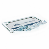 Eagle Motorcycle License Plate Frame - Chrome