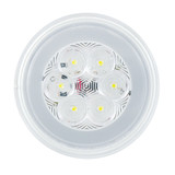 21 LED 4" GloLight (Back-Up)