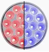 4" Dual Revolution LED Light Red Stop Turn Tail Blue Auxiliary