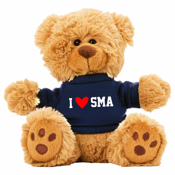 6" Plush Teddy Bear