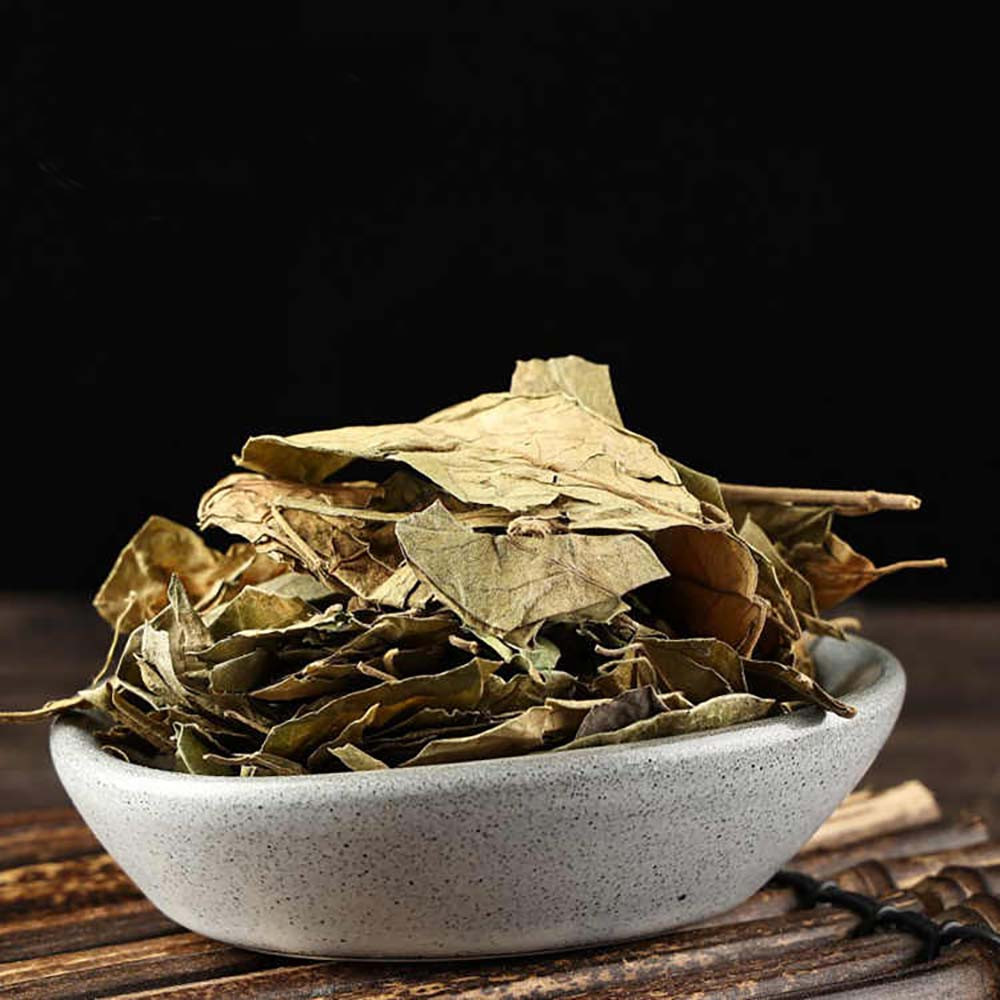 Gurmar Gymnema Sylvestre Herbal Tea – Natural Blood Sugar Support, Sugar-Free, 15-100 Tea Bags