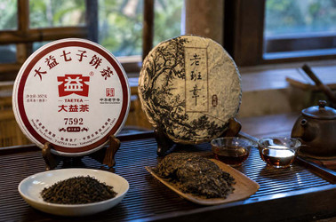 Factory Puerh vs Boutique Puerh: What's the Difference?