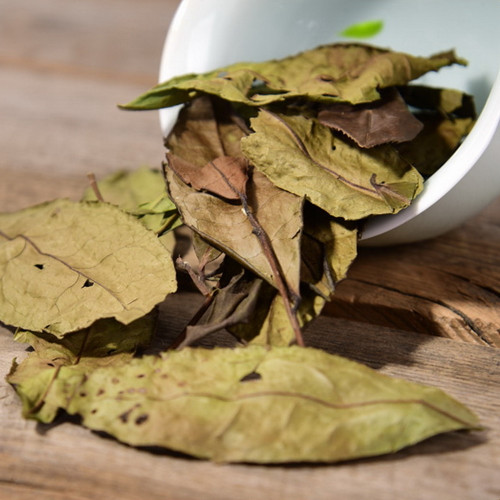 Wild Large Leaf Tea Bush Shou Mei Chinese White Tea
