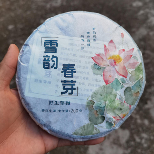 Wild Xigui Yabao Silver Pu-erh Bud Tea Cake 2024 200g Raw