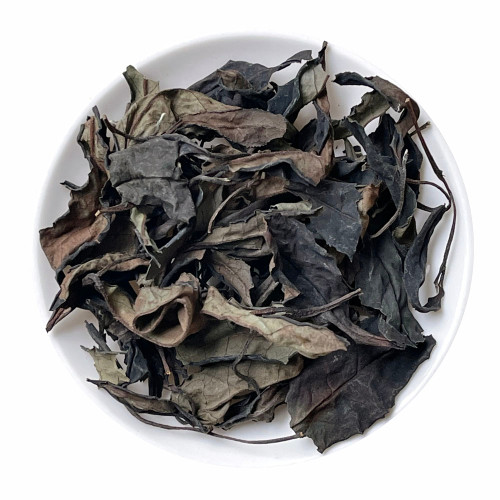 Wild Purple Varietal Yue Guang Bai Yunnan White Tea