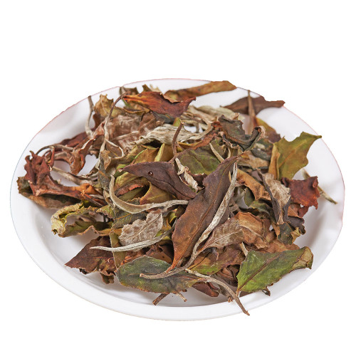 Laos Assamica Old Abor Tree White Tea