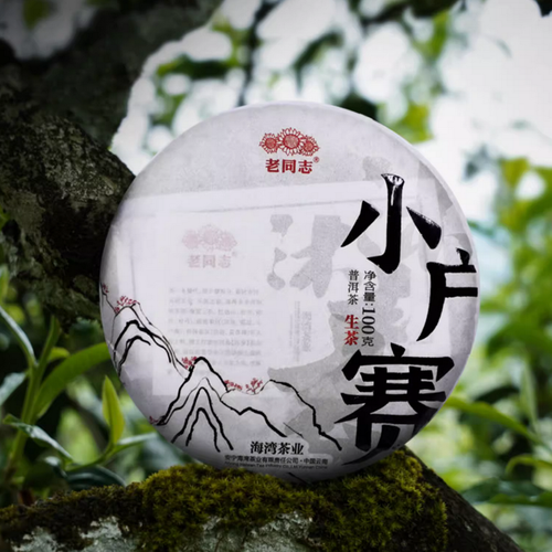 HAIWAN Brand Xiao Hu Sai Ancient Tree Pu-erh Tea Cake 2022 100g Raw