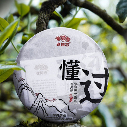 HAIWAN Brand Dong Guo Ancient Tree Pu-erh Tea Cake 2022 100g Raw