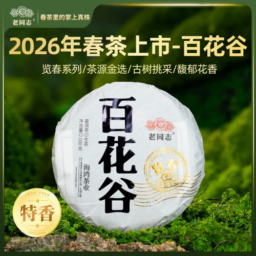 HAIWAN Brand Lan Chun Bai Hua Gu Pu-erh Tea Cake 2026 100g Raw